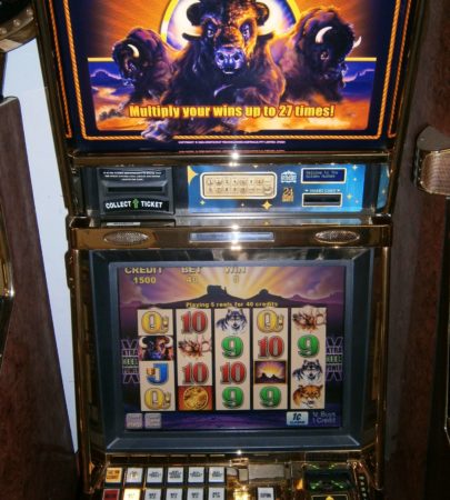 Aristrocrat BUFFALO video slot, Rare Find!!!